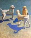 Canine Conclave