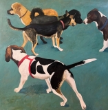 Canine Conspirators