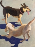 Romp